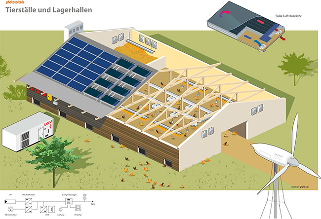 Photovoltaik in der Landwirtschaft. Schnittdarstellung eines Hühnerstalls